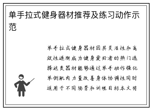 单手拉式健身器材推荐及练习动作示范