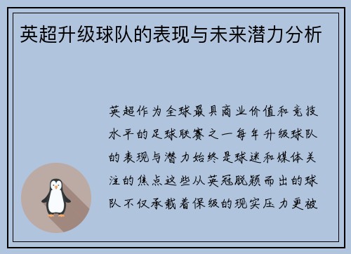 英超升级球队的表现与未来潜力分析